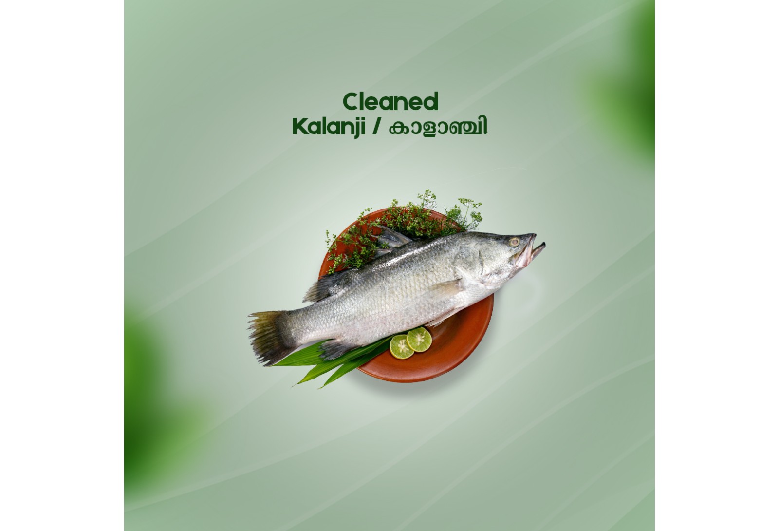 Cleaned Kalanji Pcs / Asian Sea Bass / കാളാഞ്ചി - (400gm )