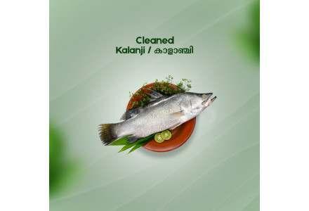 Cleaned Kalanji/  Asian Sea Bass/ കാളാഞ്ചി - ( 800g )
