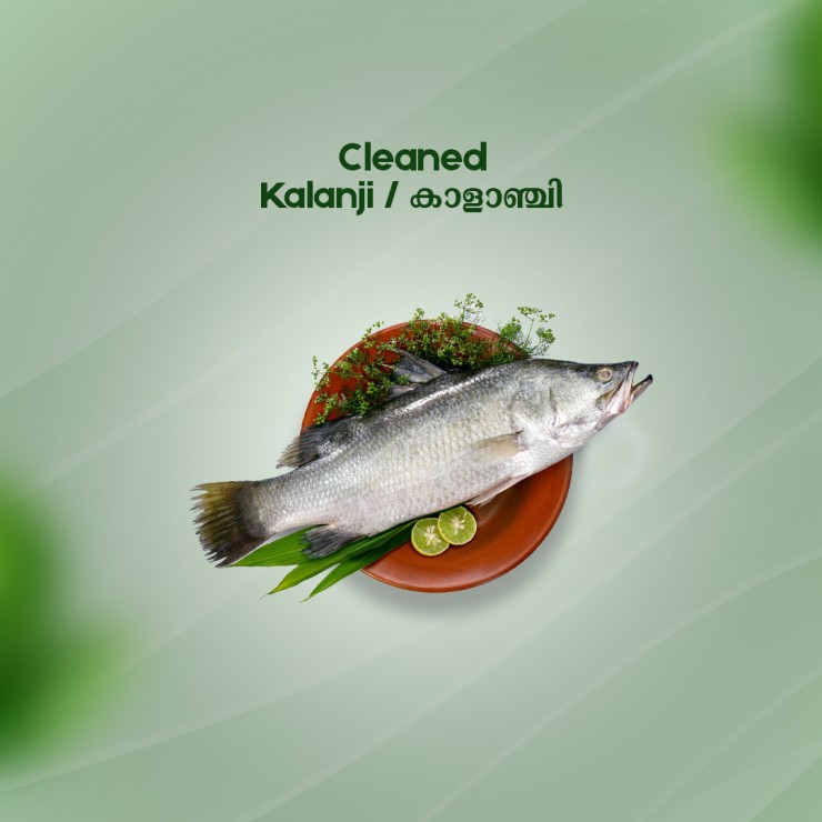 Cleaned Kalanji Pcs / Asian Sea Bass / കാളാഞ്ചി - (400gm )