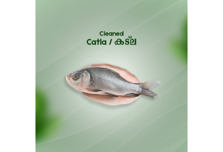 Cleaned  Catla Fish / Katla Fish (Bengal Carp)/കട്‌ല- (700gm)