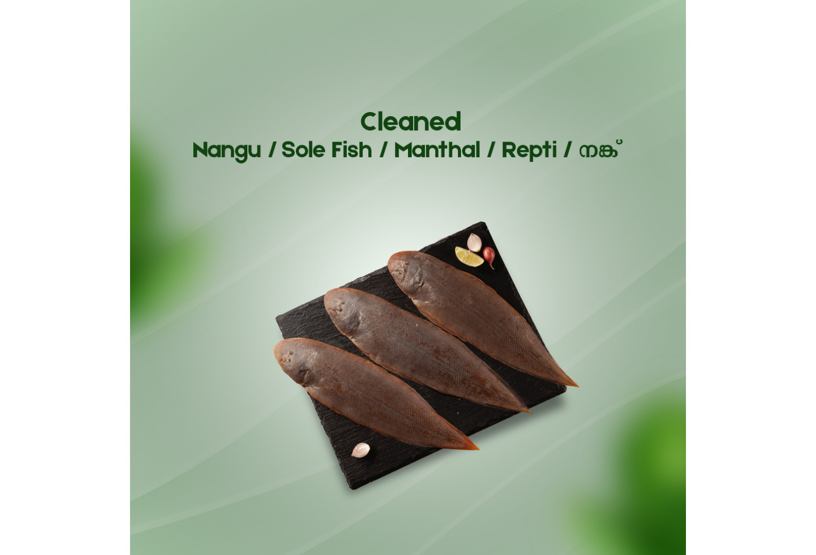 Cleaned Sole Fish/Nangu/Manthal/നങ്ക്‌ Long (350gm-400gm)