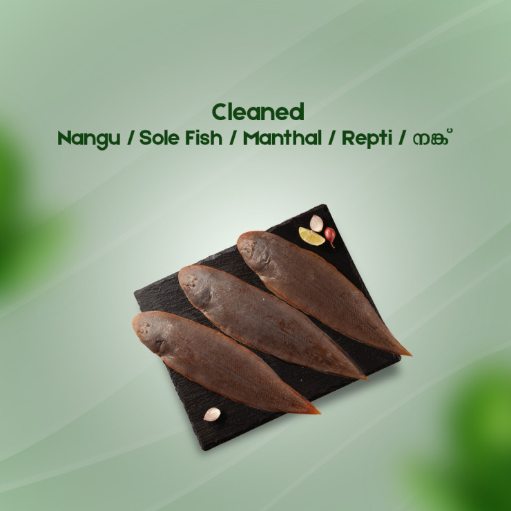Cleaned Sole Fish/Nangu/Manthal/നങ്ക്‌ Long (350gm-400gm)