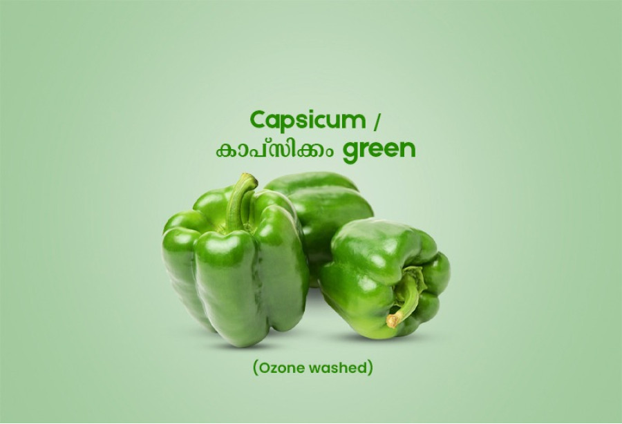 Capsicum Green / കാപ്സിക്കം Green 100gm - 150gm (Ozone Washed)