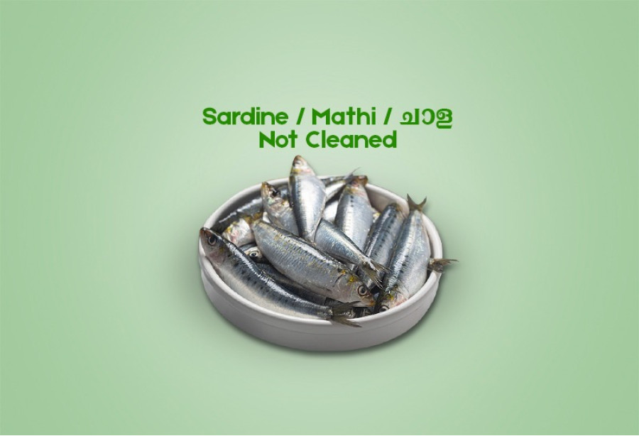 Cleaned Sardine  /  Mathi / ചാള Medium - 300gm
