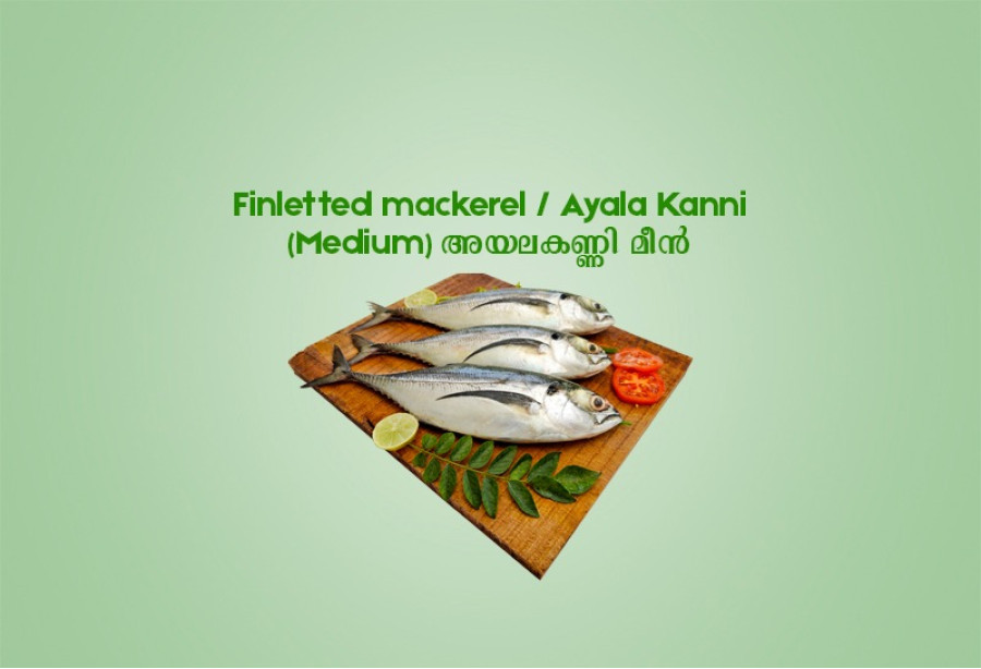 Finletted mackerel / Ayala Kanni (Medium) അയലകണ്ണി  മീൻ - 500 gm 