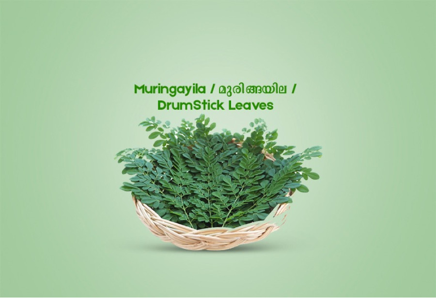 Muringayila / മുരിങ്ങയില / DrumStick Leaves  -100gm 