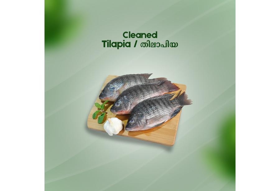 Cleaned Tilapia Large / തിലാപ്പിയ 400gm