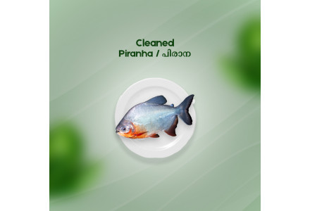 Cleaned piranha/Caribe/ Piraya/പിരാന-(700-800gm)