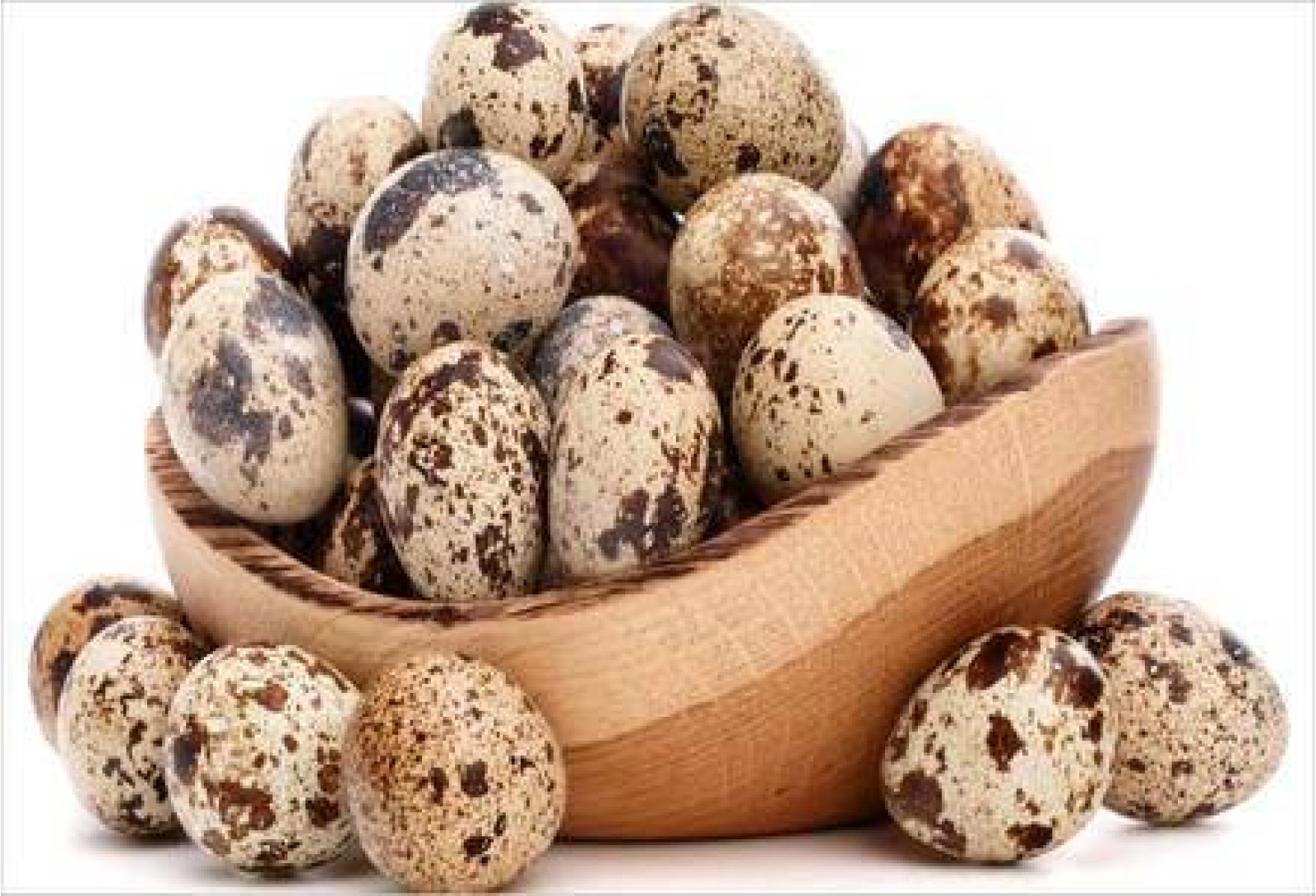 Quail Eggs  / Kada Mutta / കാട മുട്ട