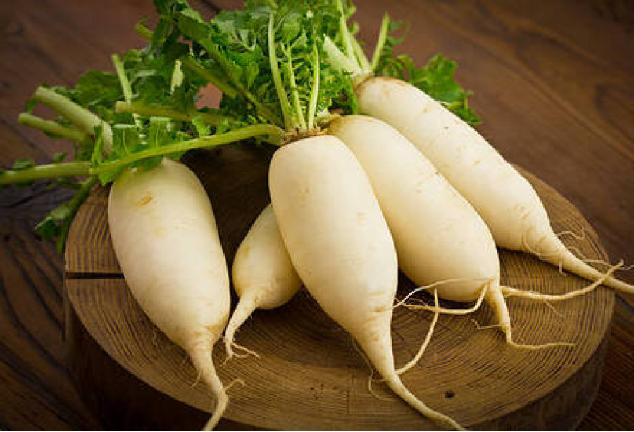 Radish White / റാഡിഷ് വൈറ്റ് - 500.00 gm 